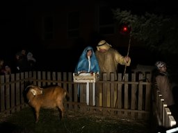 Rozsvícení vánočního stromečku